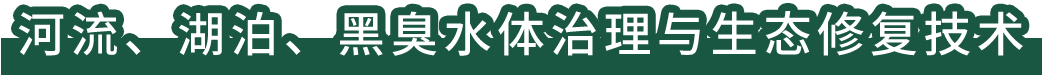 河流、湖泊、黑臭水體治理與生態(tài)修復(fù)技術(shù)