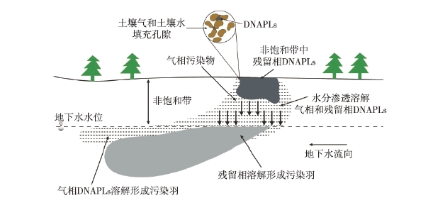 DNAPLs泄漏至地表后，受到重力作用向下遷移